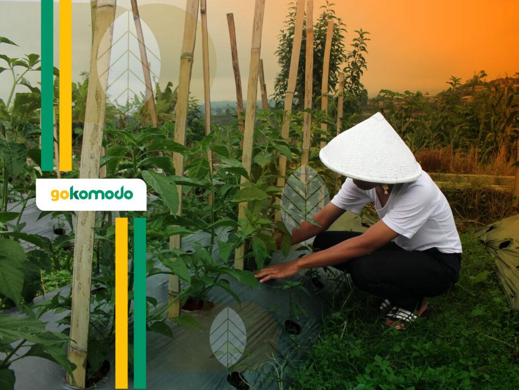 Hari Krida Pertanian