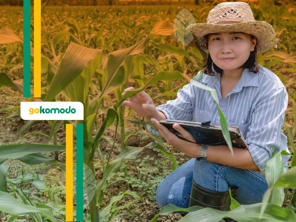 Pengurangan Pupuk Kimia