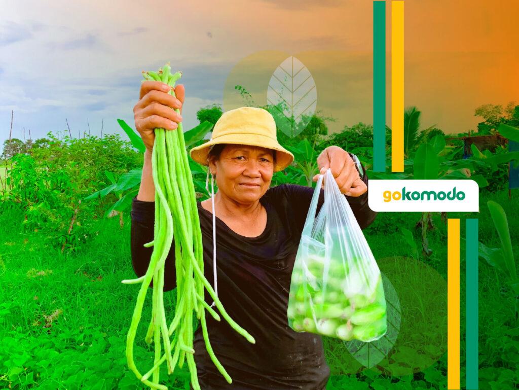 Cara Tanam Kacang Panjang