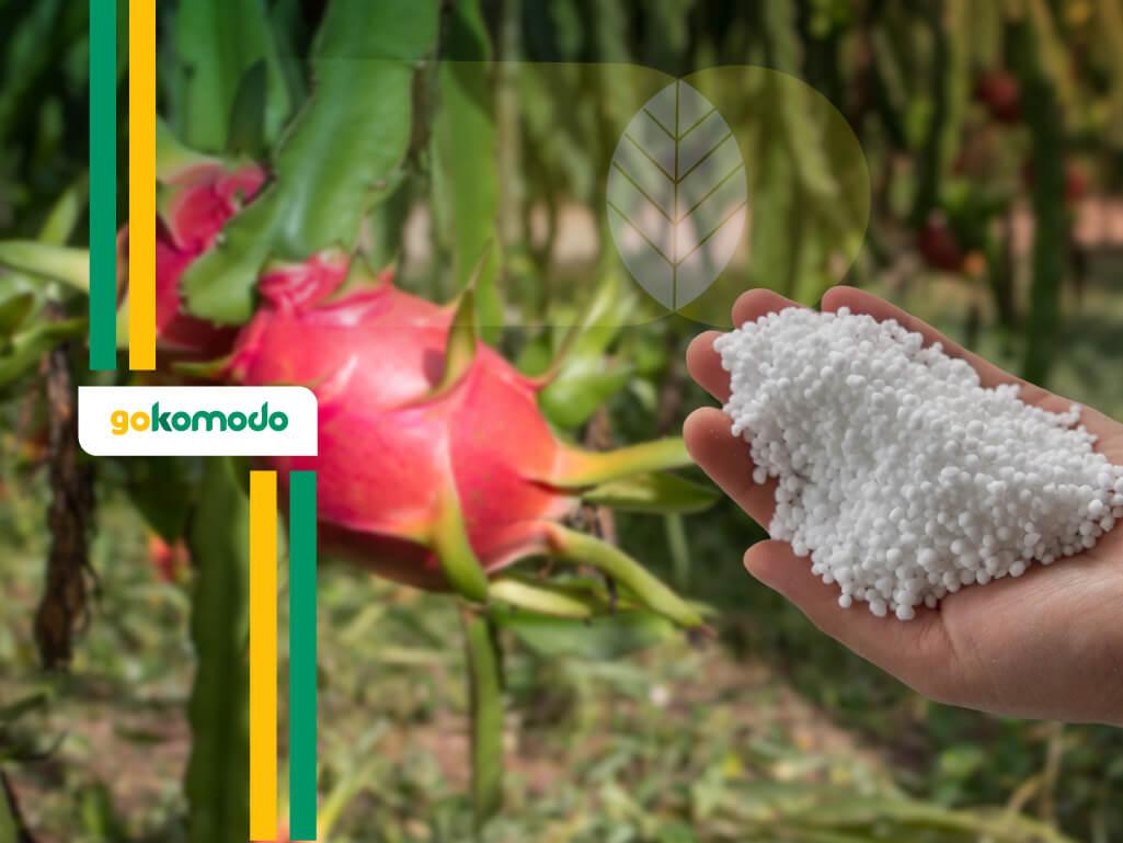 Pupuk Untuk Buah Naga