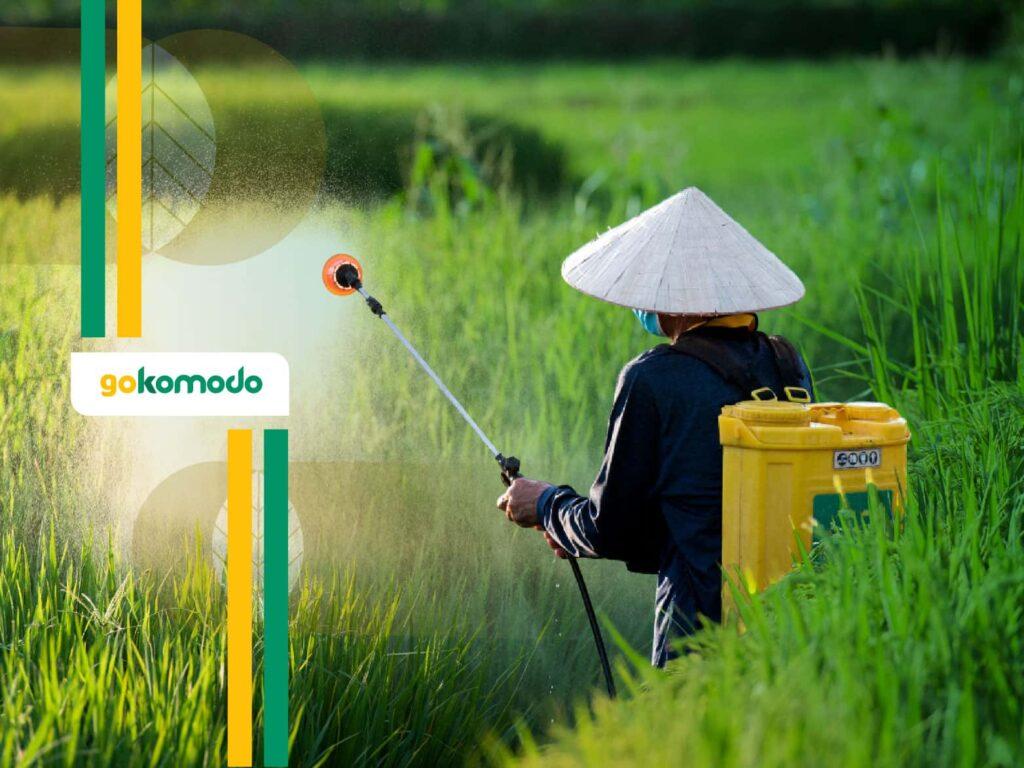 Pestisida Untuk Wereng