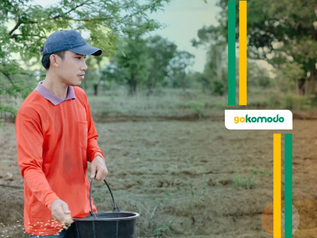 Pupuk Hayati vs Pupuk Kimia