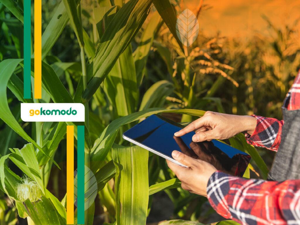 Smart Farming Jagung Digital