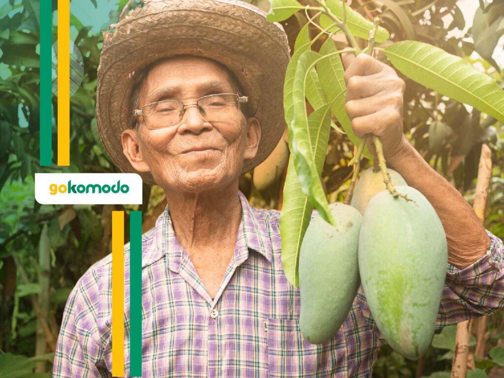 Kandungan Buah Mangga