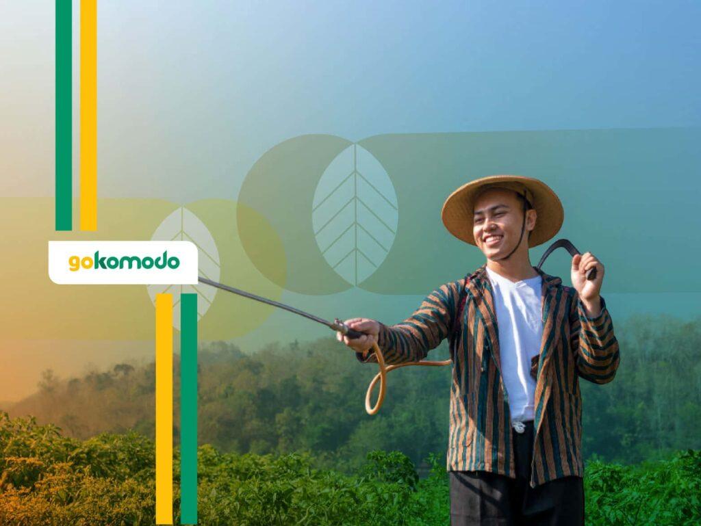 Fungisida Untuk Cabe