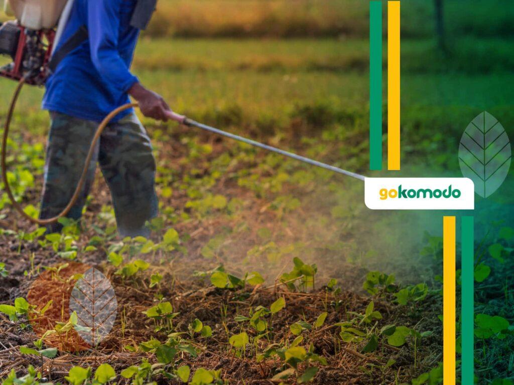 Bahan Aktif Fungisida Paling Ampuh