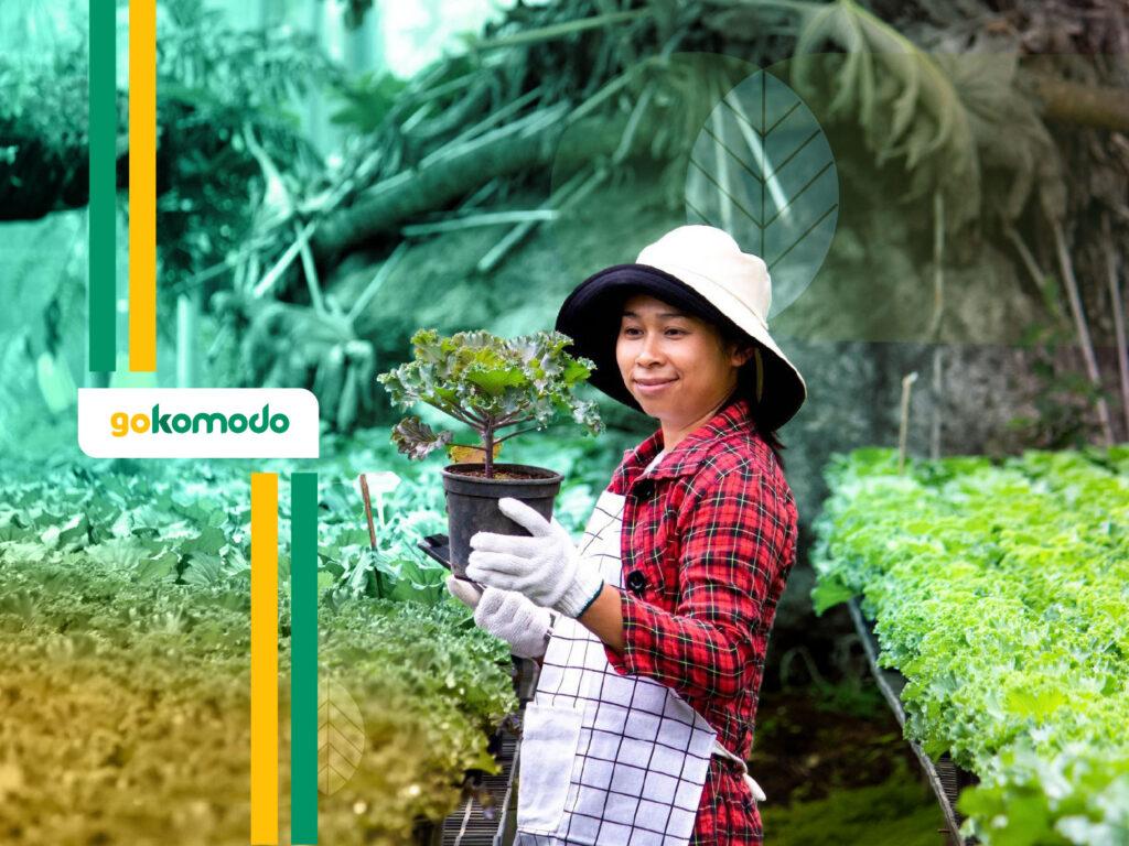 Pasar Ekspor Hortikultura