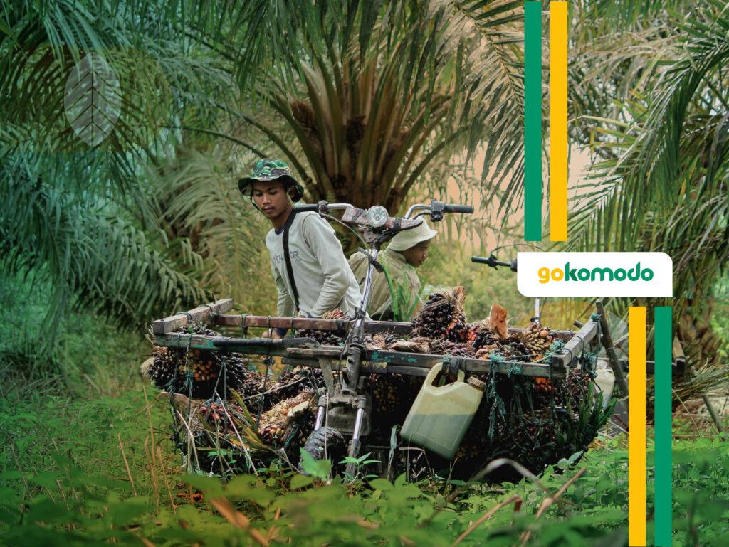 Biaya Budidaya Kelapa Sawit