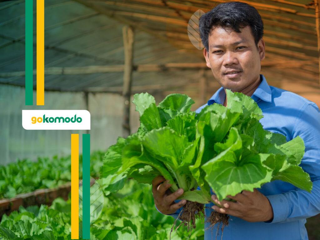 Sertifikasi Organik Sayuran Lokal