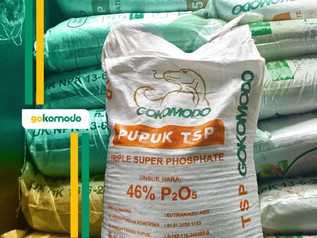 Pupuk TSP Gokomodo