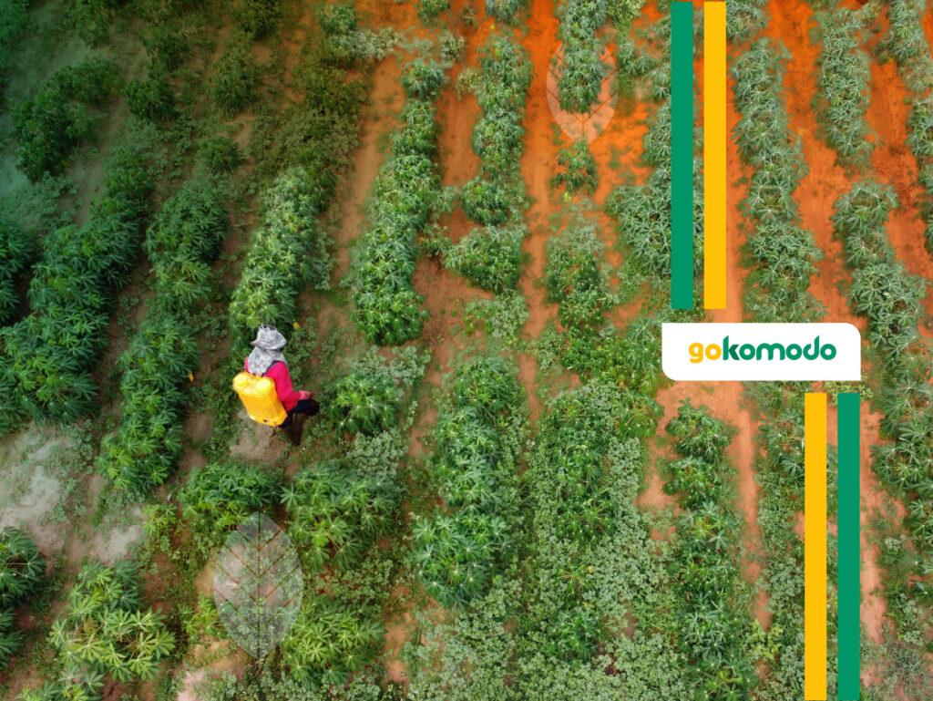 Pengendalian Hama Terpadu