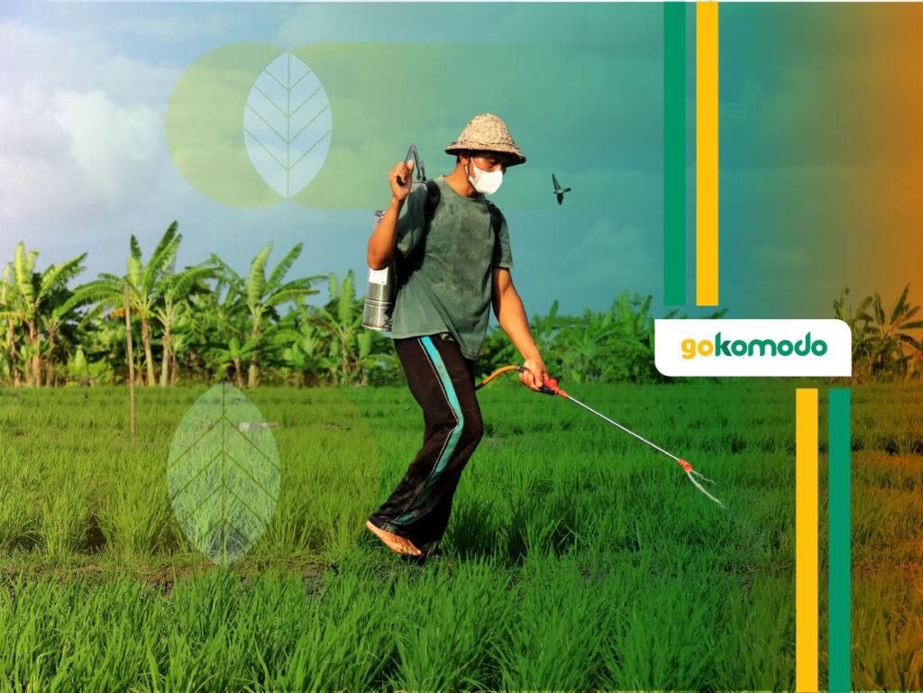 Fungisida Terbaik Untuk Tanaman