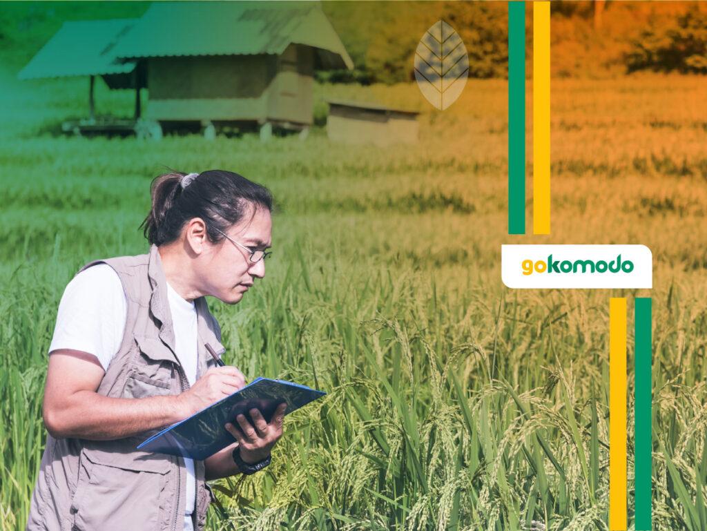 Nutrisi Tambahan Untuk Padi