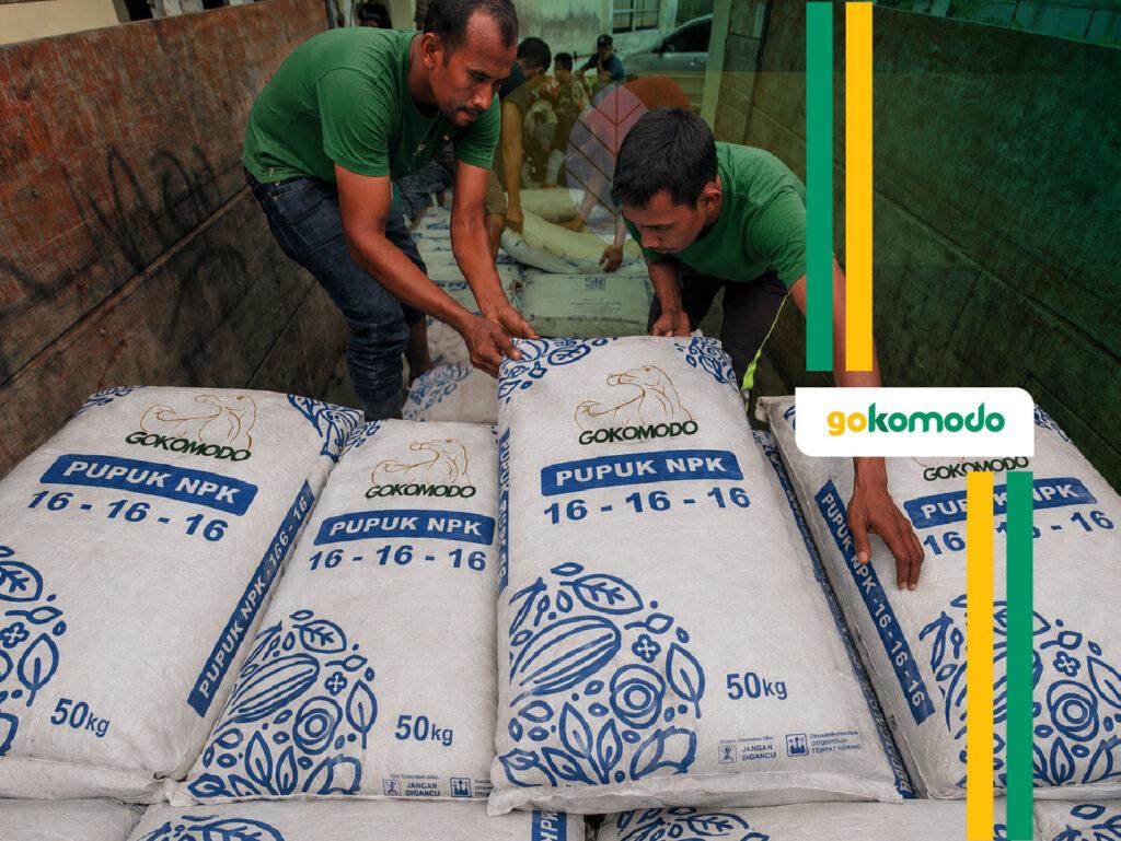 Pupuk NPK 16-16-16 Gokomodo