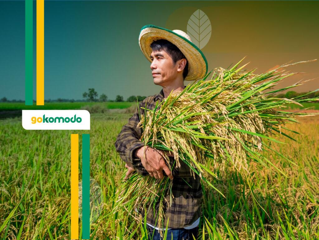 Strategi Panen Padi Menjelang Lebaran