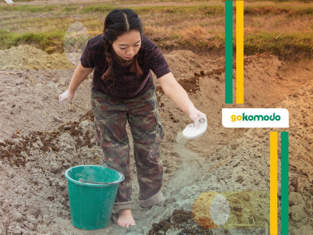 Dolomit untuk Lahan Musim Panas