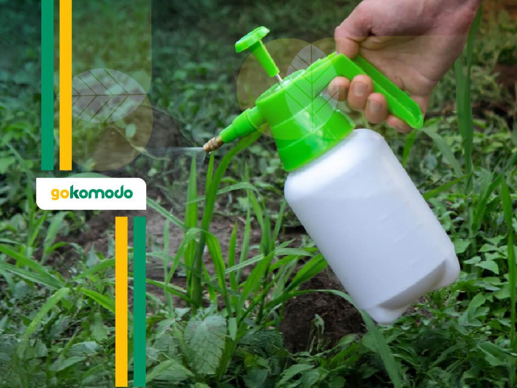 Banyak Rumput Membandel di Lahan? Gunakan 6 Racun Rumput Solusinya ...